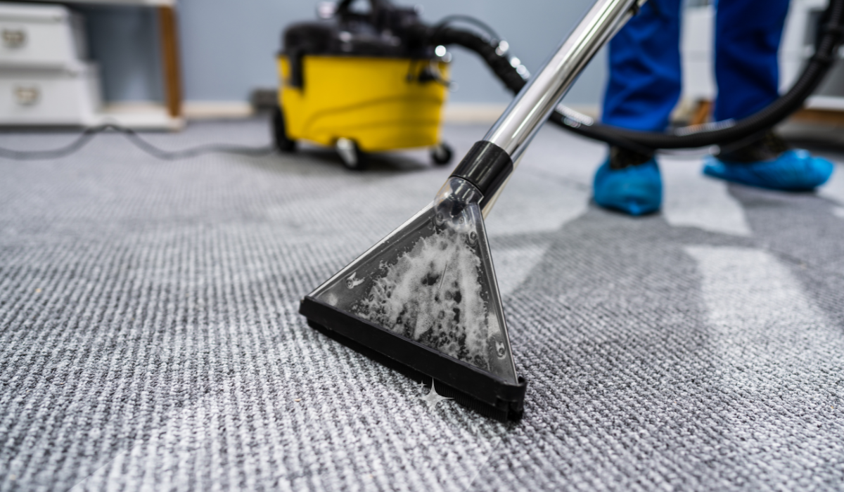 Sydney Homeowners’ Guide to Carpet Care